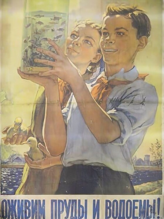 Оживим пруды и водоемы!

Художник: В. Нарышкин, 1956г.
